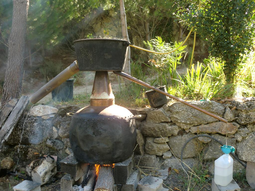 Quinta Do Circo - Serra Da Estrela - Turismo Rural Cortes do Meio Zewnętrze zdjęcie