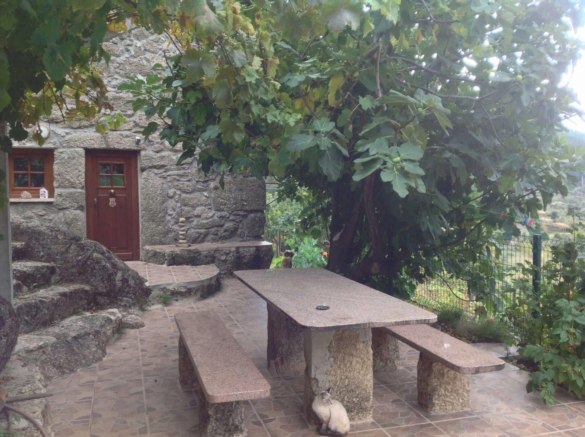 Quinta Do Circo - Serra Da Estrela - Turismo Rural Cortes do Meio Zewnętrze zdjęcie